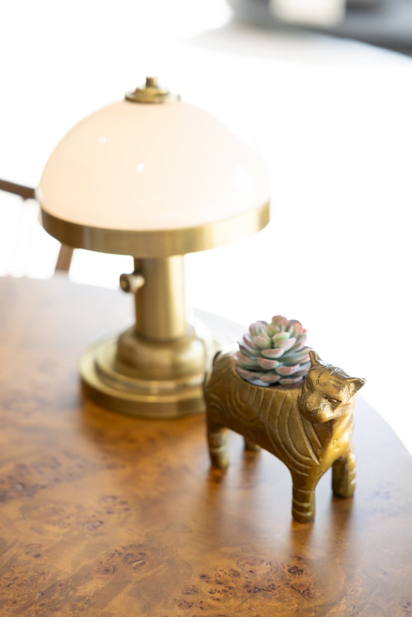 Brass lion planter and vintage lamp on a burl wood table at Fairfax Title